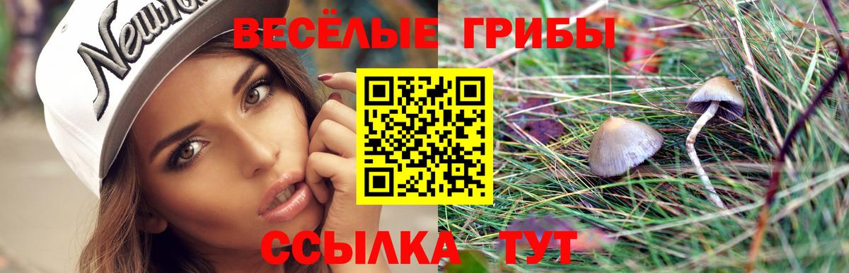 Псилоцибиновые грибы GOLDEN TEACHER Новошахтинск